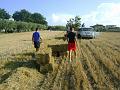 Preparazione campo (2)
